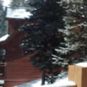 Meet your Posher, Estrella adriana